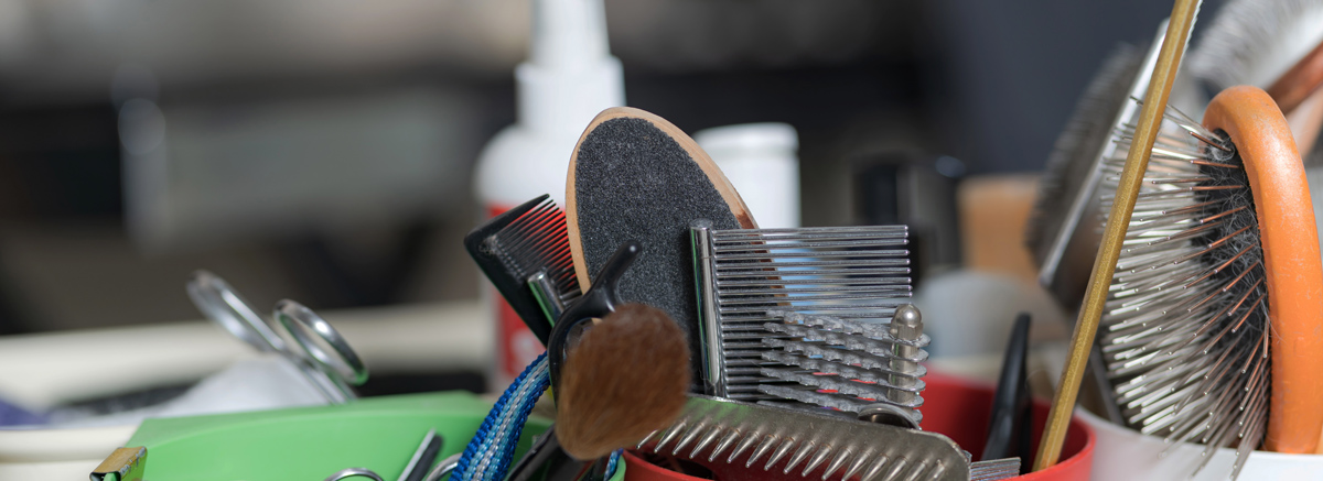 Produits de toilettage pour chien